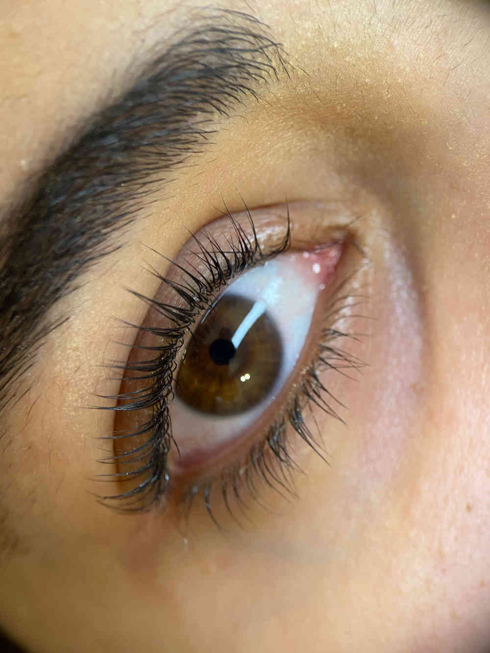 Rehaussement de cils